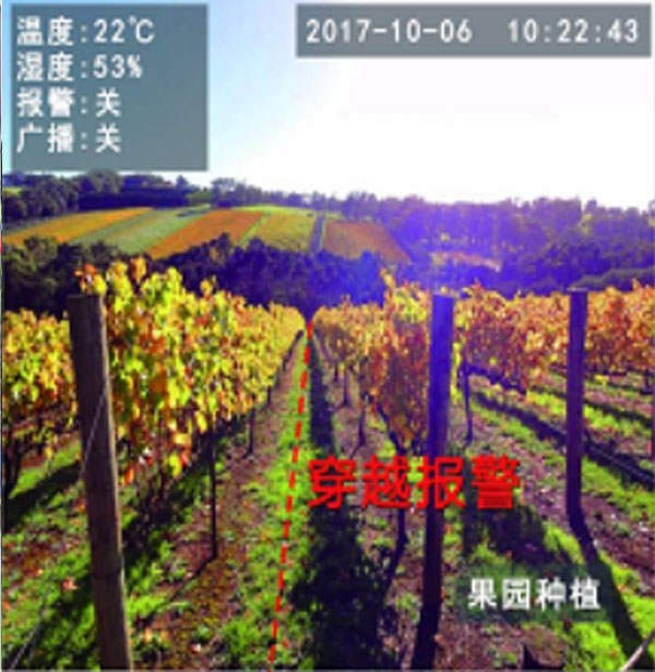 桂林自動播報攝像機-果園防盜